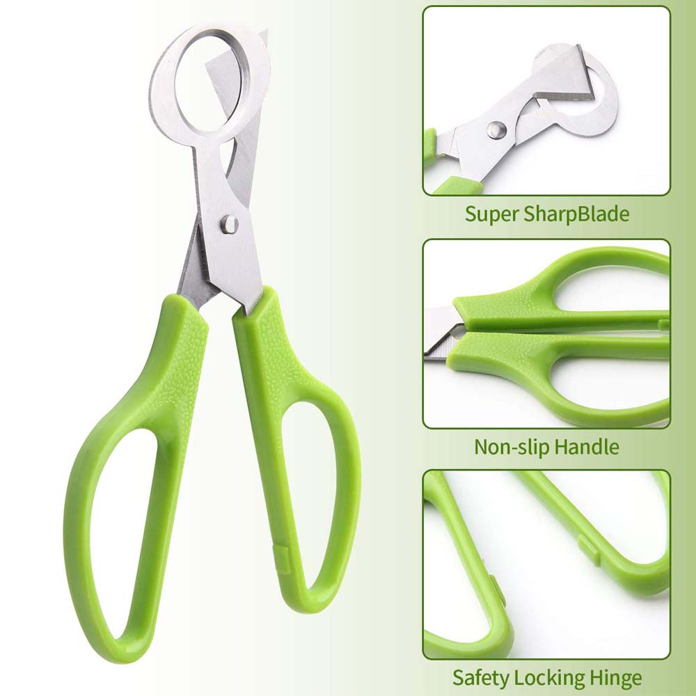 3 قطعة قاطع بيض السمان مقص الم - مراجعة Kitchen Shears In Baking وسعره