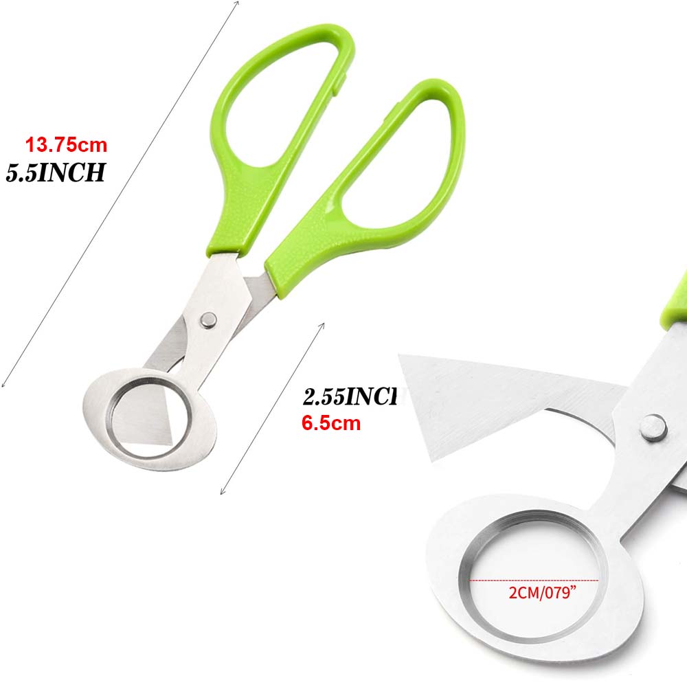 3 قطعة قاطع بيض السمان مقص الم - مراجعة Kitchen Shears In Baking وسعره